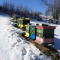 Včelnice v zimě