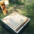 Vytáčení medu a tvorba oddělků