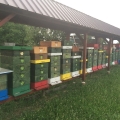 Jaké úly při včelaření používám